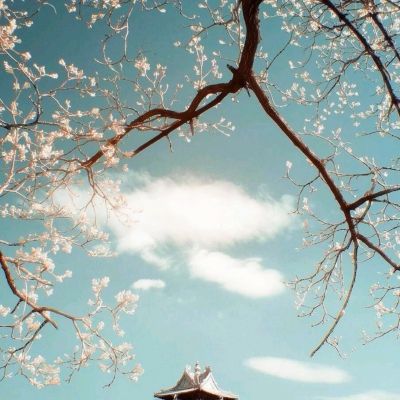 爷爷的小卖部最新版
