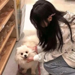 天下无双hd手游超v版下载